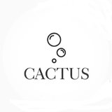 Cactus Clean - Servicii curatenie